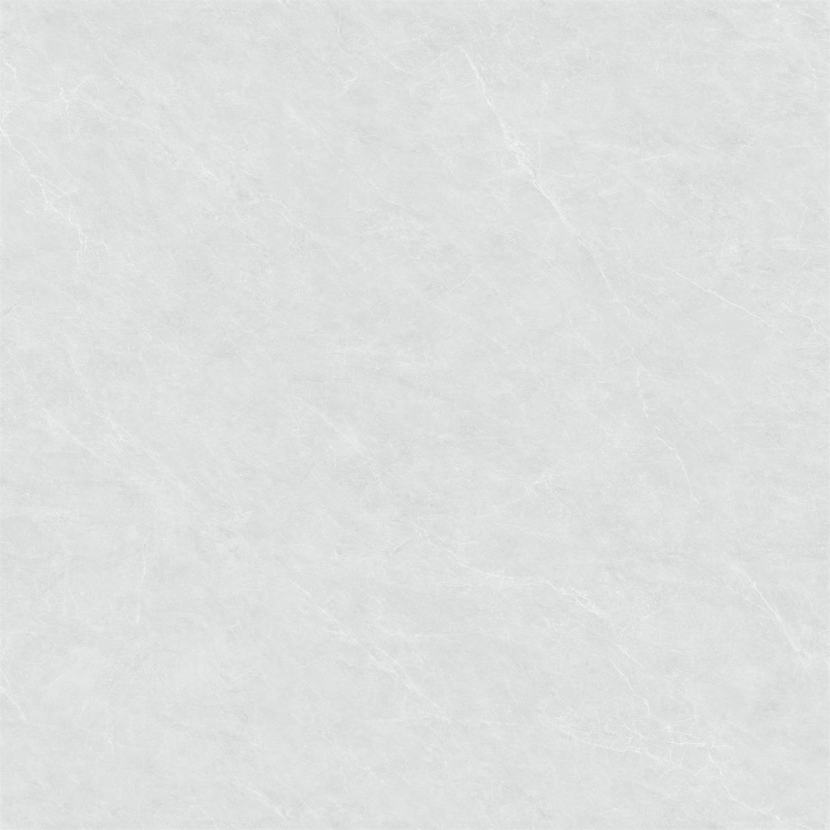 8YHAU801PL-02
