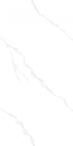 12YHA559PL